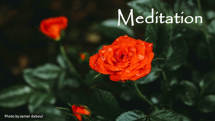 Meditation 05-01-2022 by Rev. Anne Tabor