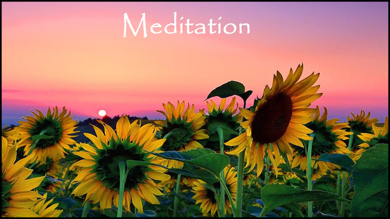 Meditation 08-07-2022 by Steve Morris Graphic