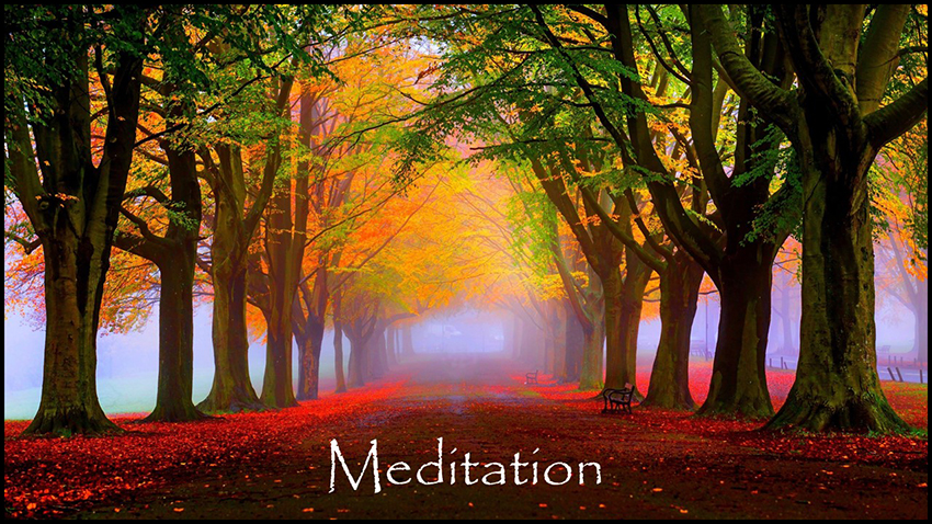 Meditation Graphic October 9, 2022