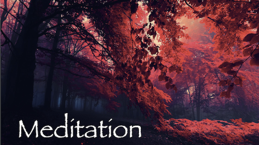Meditation 11-19-2023 by Rev. Anne Tabor